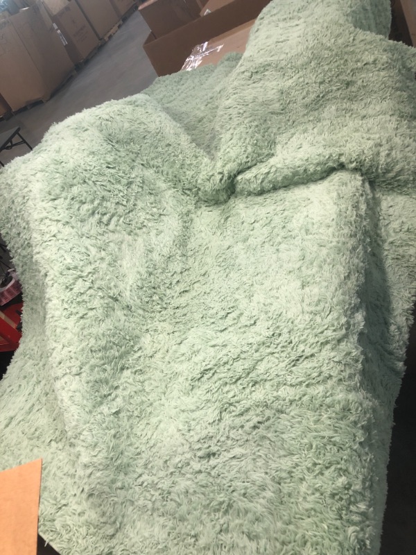 Photo 2 of 
DweIke Super Soft Shaggy Rugs Fluffy Carpets, 4x6 ft, Green Area Rug for Living Room Bedroom Girls Kids Room Nursery Home Decor, Non-Slip Plush Indoor Floor..