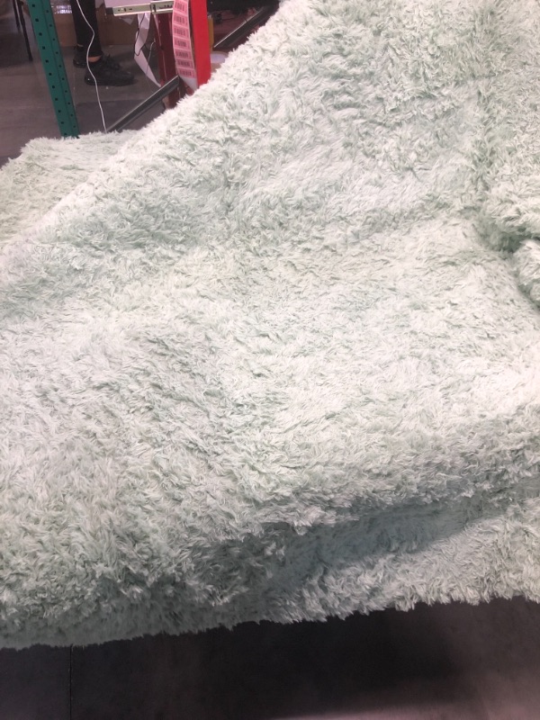 Photo 3 of 
DweIke Super Soft Shaggy Rugs Fluffy Carpets, 4x6 ft, Green Area Rug for Living Room Bedroom Girls Kids Room Nursery Home Decor, Non-Slip Plush Indoor Floor..
