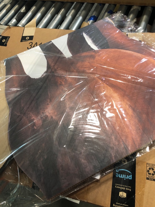 Photo 1 of Advanced Graphics Horse Life Size Cardboard Cutout Standup Horse 2