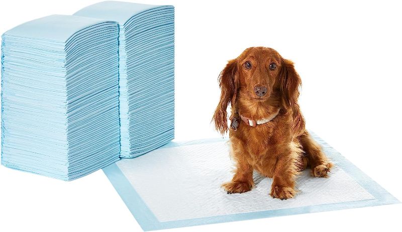 Photo 1 of Amazon Basics Dog and Puppy Pee Pads with Leak-Proof Quick-Dry Design for Potty Training, Standard Absorbency, Regular Size, 22 x 22 Inches, Pack of 150, Blue & White