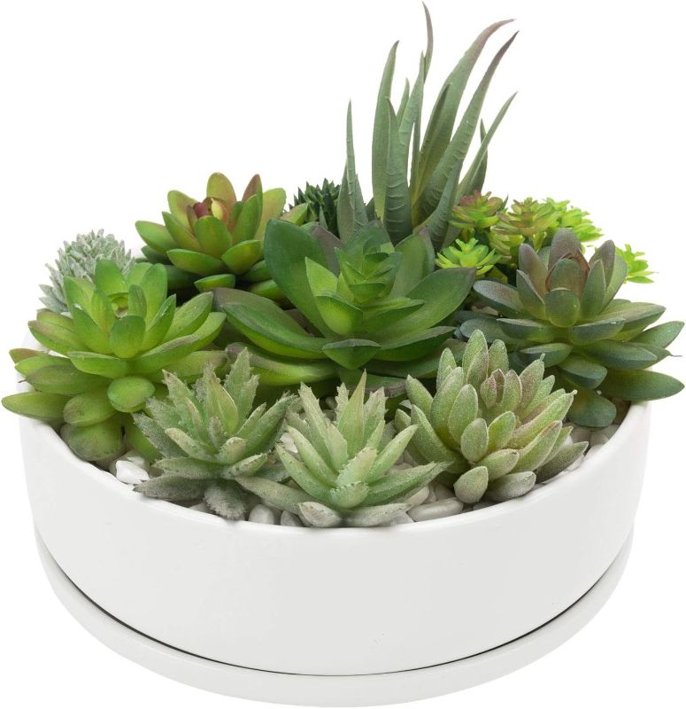 Photo 1 of MyGift Cylindrical White Ceramic 8 Inch Plant Pot with Drainage Hole and Removable Tray, Indoor Outdoor Small Succulent Planter