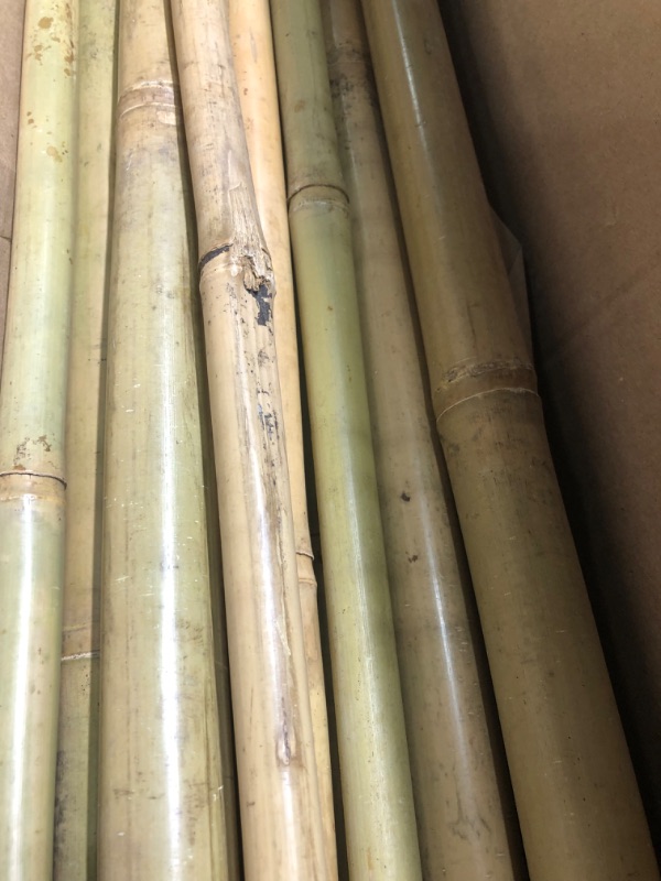 Photo 3 of  Bamboo Garden Stakes, Plant Support 7ft long 15pc