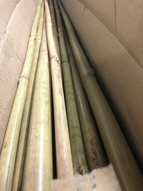 Photo 4 of  Bamboo Garden Stakes, Plant Support 7ft long 15pc