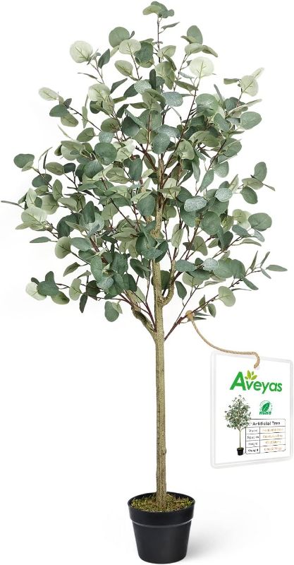 Photo 1 of Aveyas 5ft Tall Artificial Eucalyptus Tree in Cemented Plastic Pot, Fake Silver Dollar Leaves Big Plants Large Faux Silk Tree for Indoor Outdoor House Living Room Home Modern Wedding Decor (5 Feet)
fallen some leaves