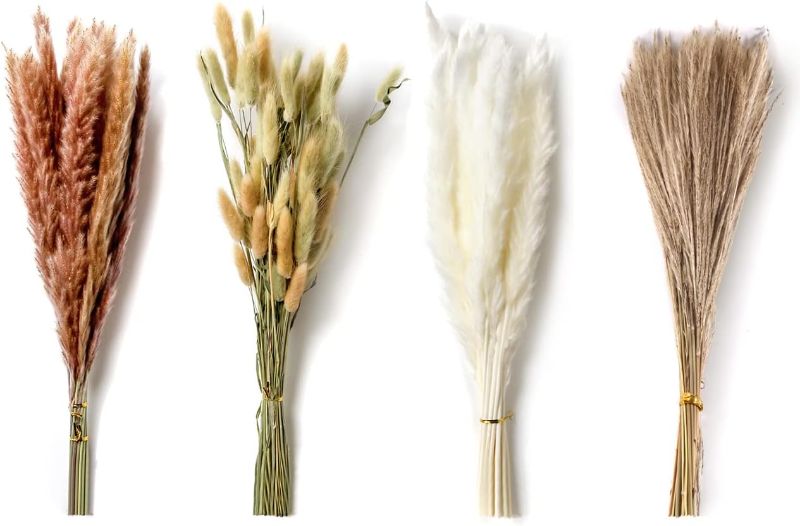Photo 1 of 120pcs Dried White Pampas 15pcs?15pcs Brown Dried Flower?60pcs Natural Bunny Tail ?30pcs Dried Grass, Ideal for Home Decor, Wall Ornament, Wedding