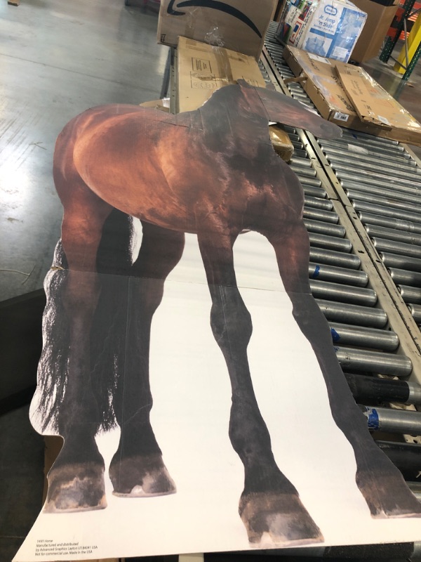 Photo 4 of Advanced Graphics Horse Life Size Cardboard Cutout Standup Horse 2