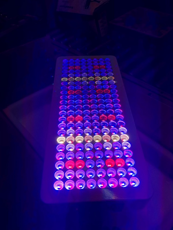 Photo 4 of KingLED Newest 2000w LED Grow Lights with LM301B LEDs and 10x Optical Condenser 5x5 ft Coverage Full Spectrum Grow Lights for Indoor Hydroponic Plants Veg Bloom Greenhouse Growing Lamps KP2000--Samsung Diodes