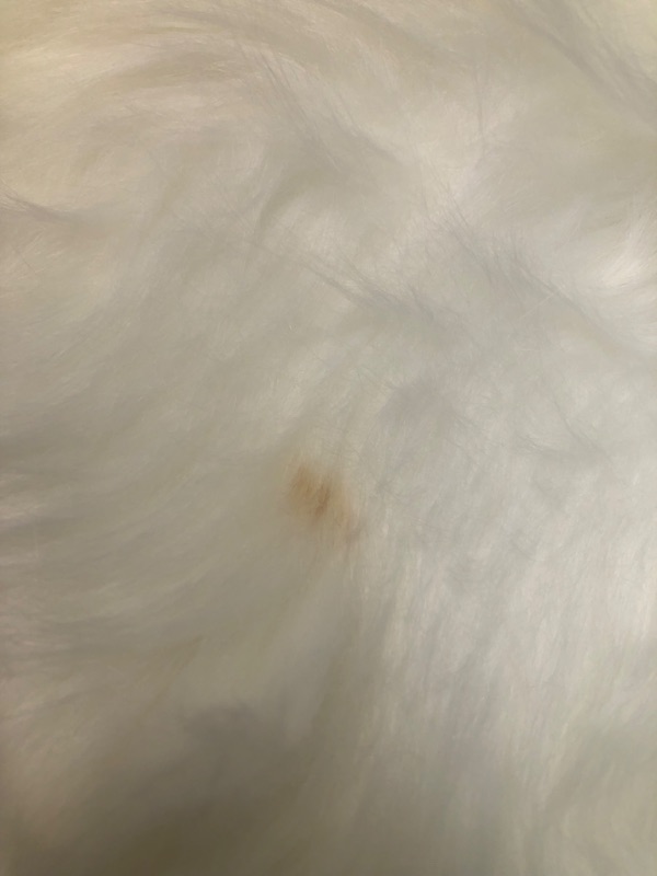 Photo 6 of Ashler Faux Fur Rug, Fluffy Shaggy Area Rug Ultra Soft 2 x 3 Feet Sheepskin Fur Rug, White Fuzzy Rug Machine Washable Shag Rug, Nursery Decor Throw Rugs for Bedroom, Kids Room, Living Room