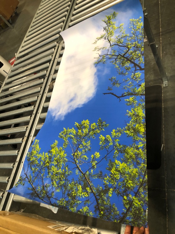 Photo 1 of Octo Lights Decorative Fluorescent Light Covers - 2x4ft (22.38in x 46.5in) Light Covers for Classrooms & Offices - Improves Focus, Reduces Headaches & Provides Fluorescent Relief - Tree 008 Blue Sky Acacia Tree 1pk