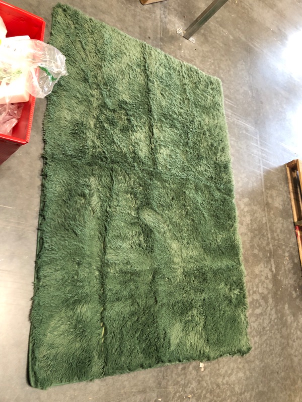 Photo 2 of 49X72 INCH GREEN FUR RUG 
