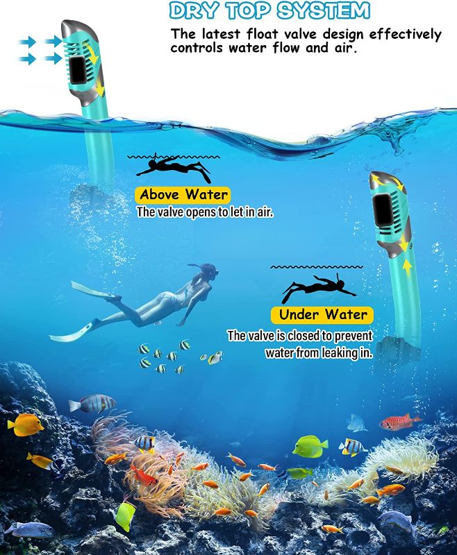 Photo 1 of Greatever Dry Snorkel Set,Panoramic Wide View,Anti-Fog Scuba Diving Mask,Professional Snorkeling Gear