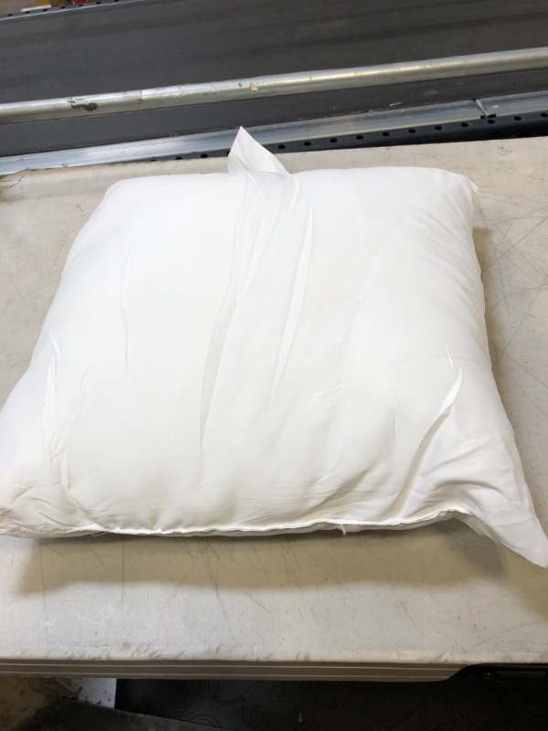 Photo 1 of 16x16 pillow