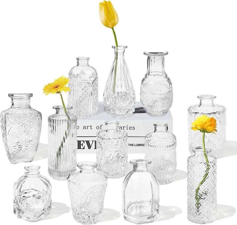 Photo 1 of 12 Glass Bud Vases Set,Clear Bud Vases in Bulk,Small Vases for Centerpieces,Mini Vintage Vase for Flowers,Rustic Wedding,Home Table Decorations
