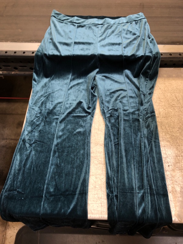 Photo 1 of Blue Velvet pants XXL