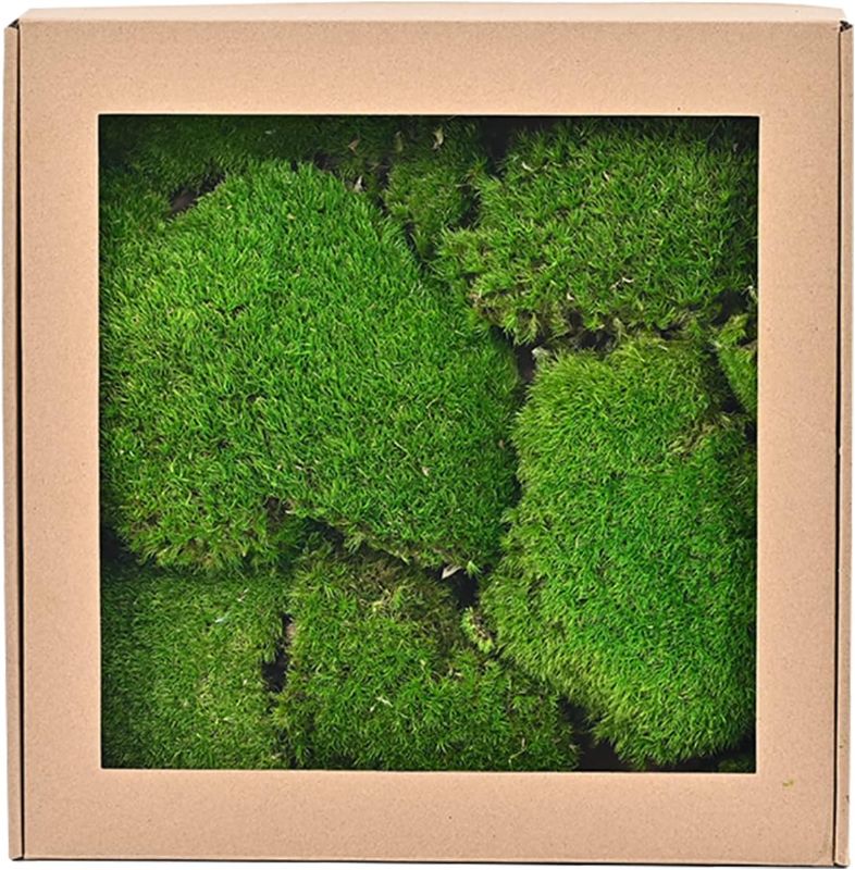 Photo 1 of 1 sq. ft Preserved Moss Pillow Moss, Moss for Potted Plants, Artificial Fake Moss for Fake Plants Indoor, Moss Balls Decor Moss Crafts Terrariums DIY Gardenning Art Wall Decor (Emerald Green)
