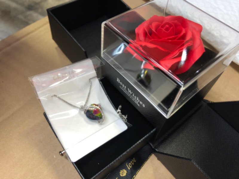 Photo 1 of   Preserved Red Real Rose with Necklace  