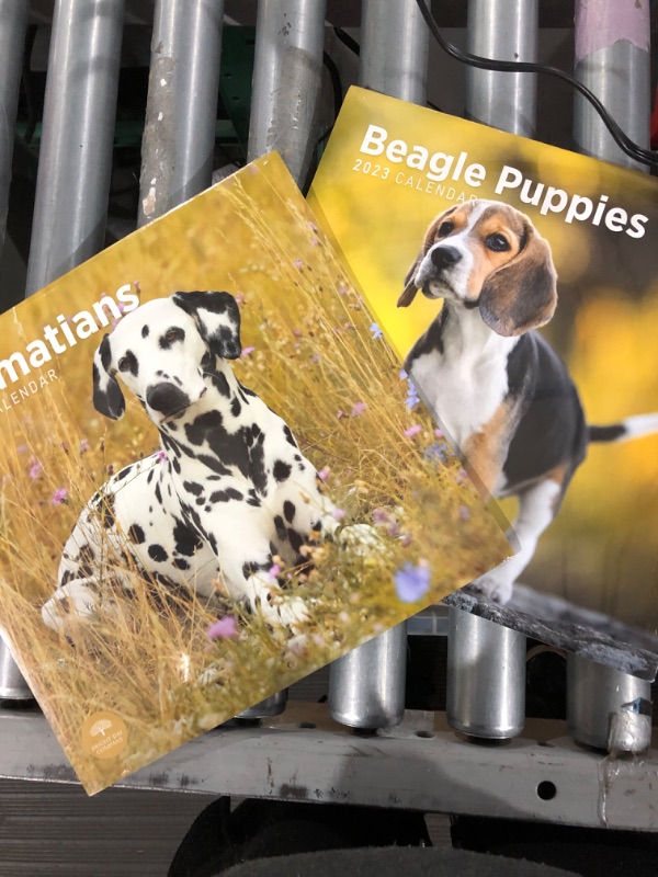 Photo 4 of 2023 Beagle Puppies Wall Calendar by Bright Day, 12x12 Inch, Cute Adorable Pet Dog Photography 2 in pack 