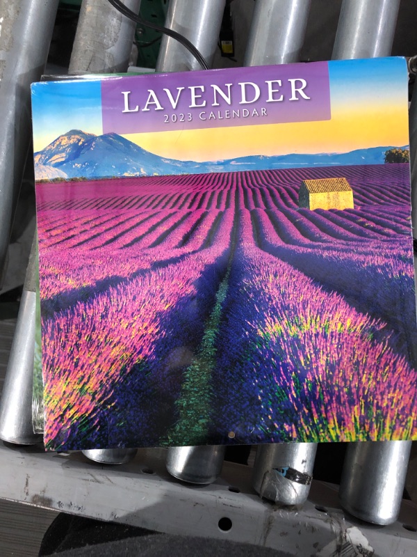 Photo 3 of 2023 Lavender Monthly Wall Calendar by Red Robin Calendars 12" x 12"
3 in a pack 