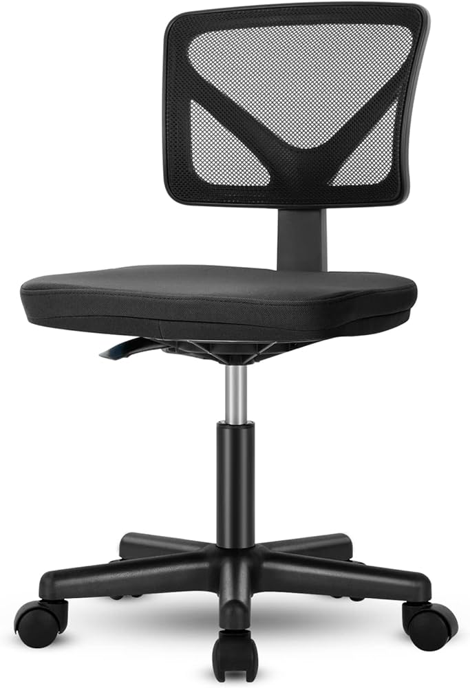 Photo 1 of Armless Low-Back Task Office Chair
