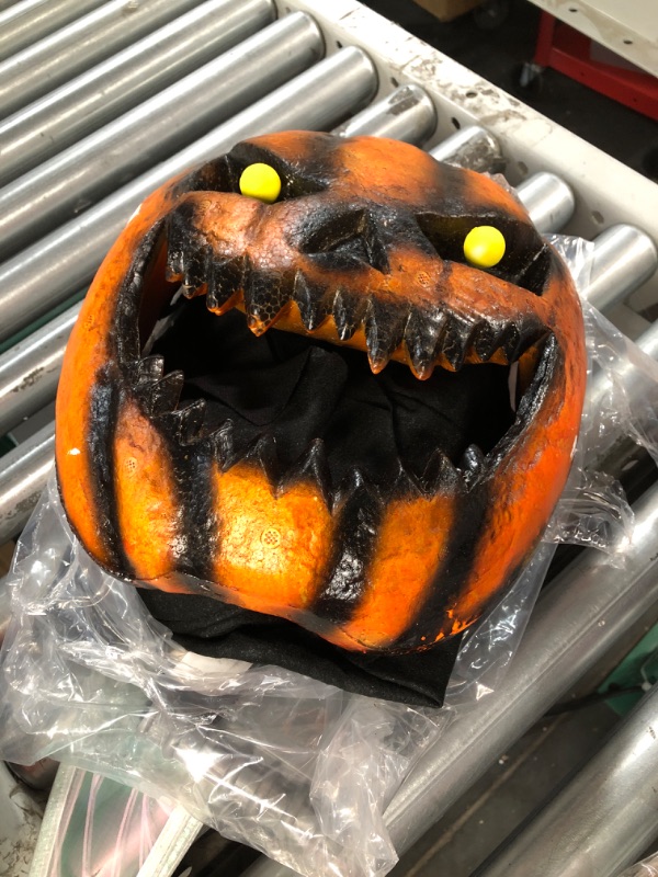 Photo 1 of Neragron Halloween Pumpkin Costume 
