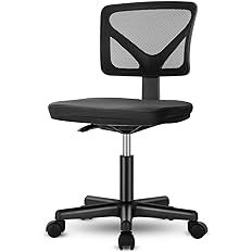 Photo 1 of Desk Chair, Armless Office Chair