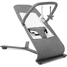 Photo 1 of Baby Delight Alpine Deluxe Portable Bouncer | Infant | 0 – 6 months | Charcoal Tweed