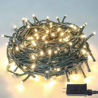 Photo 1 of DE 500 LED warm white string lights with remote