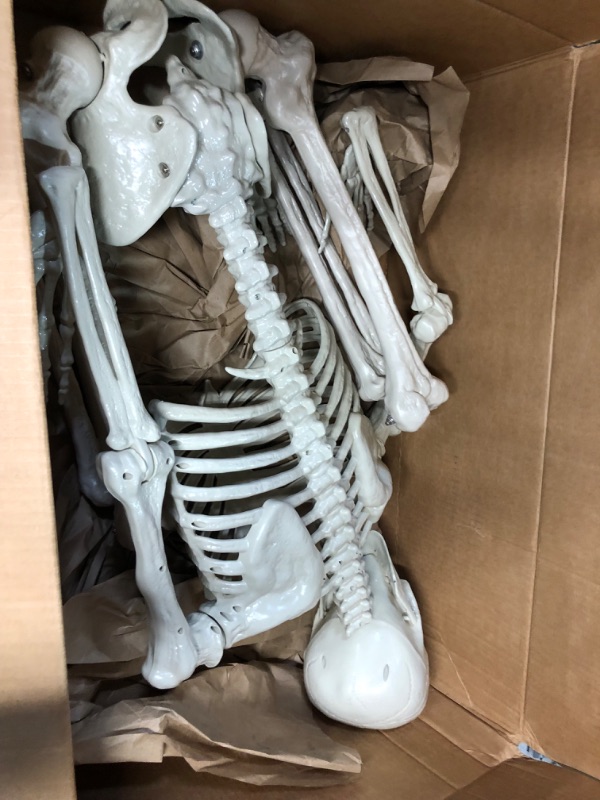 Photo 2 of JOYIN 5.6 FT Halloween Posable Life Size Skeleton Full Body Realistic Bones with Movable Joints for Halloween Indoor and Outdoor Decoration