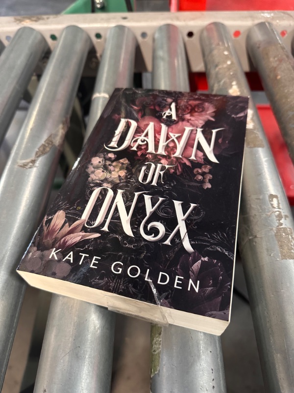 Photo 2 of *USED* A Dawn of Onyx Paperback – November 14, 2022
