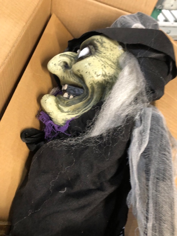 Photo 3 of **USED*Haunted Hill Farm Life-Size Poseable Scary Talking Witch