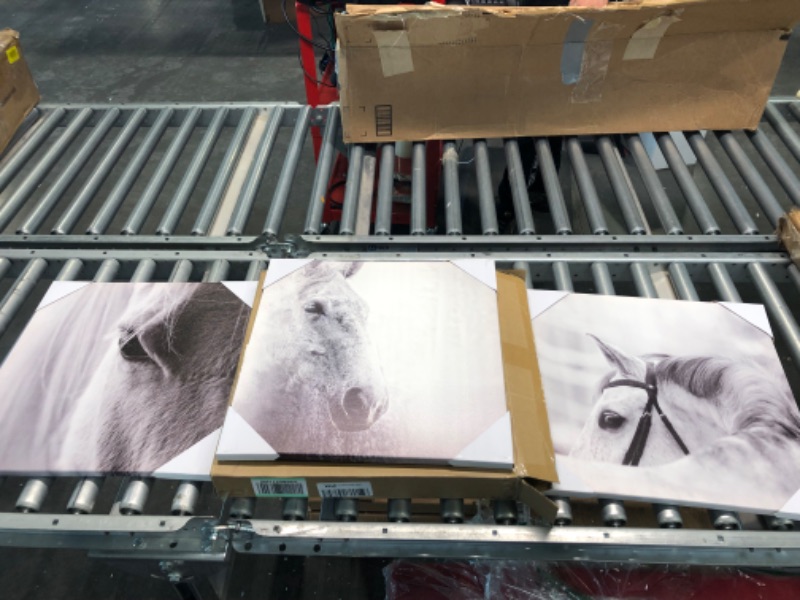 Photo 3 of ARTISTIC PATH Horses Picture Animals Artwork Prints: Vintage Portrait Graphic Wall Art on Canvas(16" W x 16" H x 3Pcs) Canvas 16''x16''x3 PCS