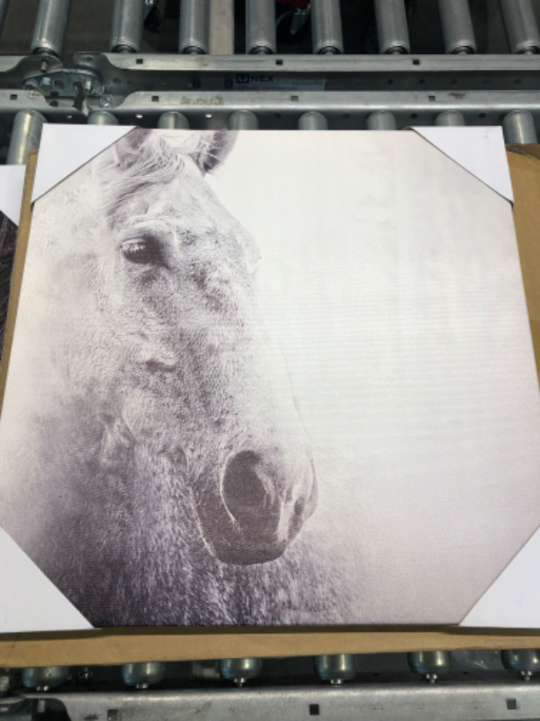 Photo 5 of ARTISTIC PATH Horses Picture Animals Artwork Prints: Vintage Portrait Graphic Wall Art on Canvas(16" W x 16" H x 3Pcs) Canvas 16''x16''x3 PCS