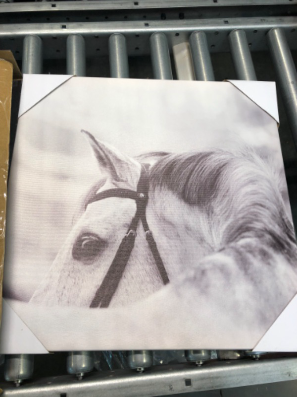 Photo 6 of ARTISTIC PATH Horses Picture Animals Artwork Prints: Vintage Portrait Graphic Wall Art on Canvas(16" W x 16" H x 3Pcs) Canvas 16''x16''x3 PCS