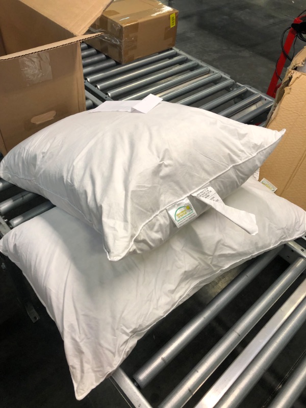Photo 1 of Dreamhood Feather and Down Pillow for Sleeping, Skin-Friendly Bed Pillow 2 Pack Standard/Queen Size (20"x28") Soft (Two Pack) Standard/Queen (Pack of 2)