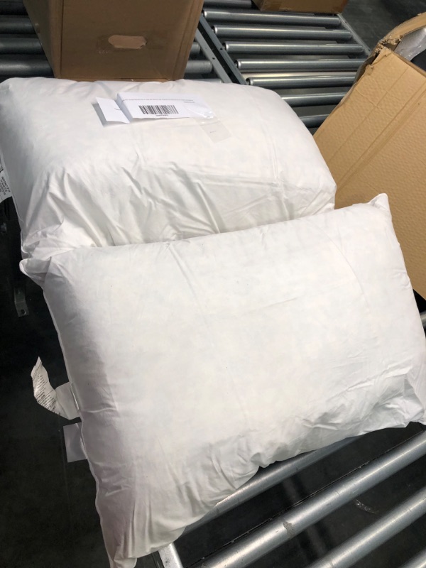 Photo 1 of Dreamhood Feather and Down Pillow for Sleeping, Skin-Friendly Bed Pillow 2 Pack Standard/Queen Size (20"x28") Soft (Two Pack) Standard/Queen (Pack of 2)