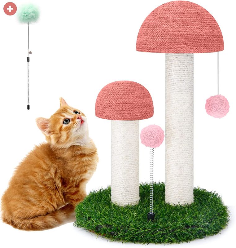 Photo 1 of CAT MUSHROOM SCRATCHER / TOY