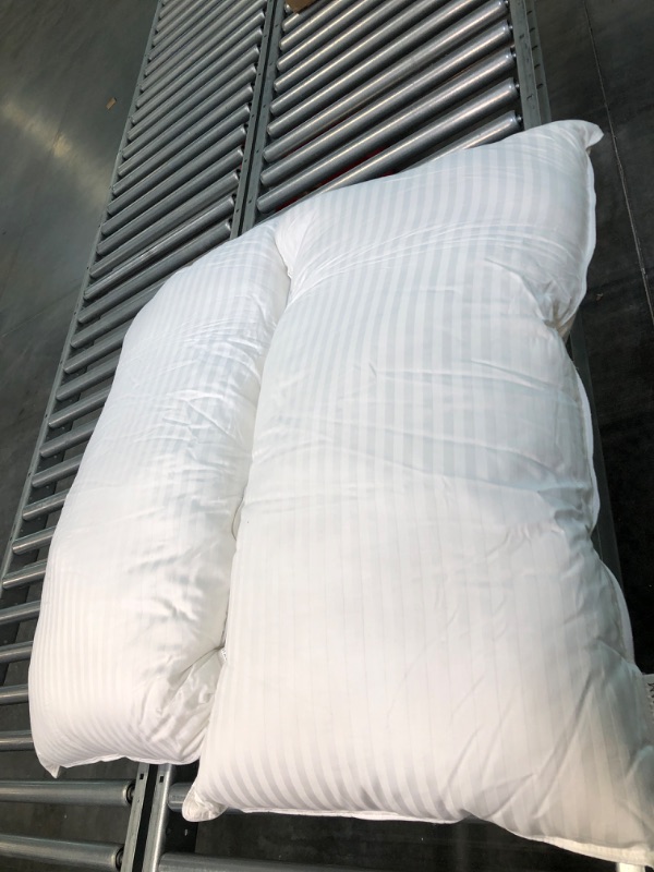 Photo 1 of Beckham Hotel Collection King Size 2 Gel Pillows.
