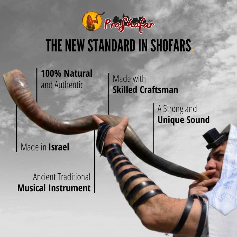 Photo 4 of 
Kosher Kudu Shofar From Israel, Officially Signed Certificate Kosher Shofar Horn, Made in Israel, With Free Bonuses
