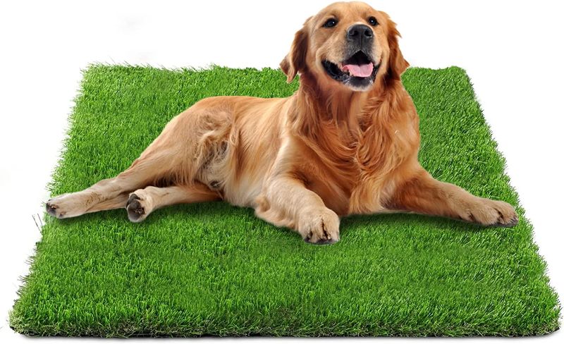 Photo 1 of 3FT×3FT Artificial Grass Rug Turf for Dogs Pee Potty Washable Grass Mat with Drainage Hole Replacement Doggy Training Grass Pad for Pet Small Animal Puppy

