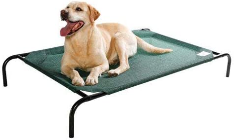 Photo 1 of COOLAROO The Original Cooling Elevated Dog Bed, Indoor and Outdoor, Medium, Green