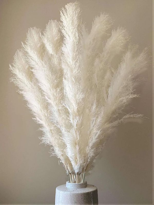 Photo 1 of 8pcs 40'' White Natural Dried Pampas Grass - Elegant Fluffy Pampas Grass for Floor Vase - White Pampas Grass Decor Tall - Boho Wedding Decor - Boho Home Decor Dried Flowers
