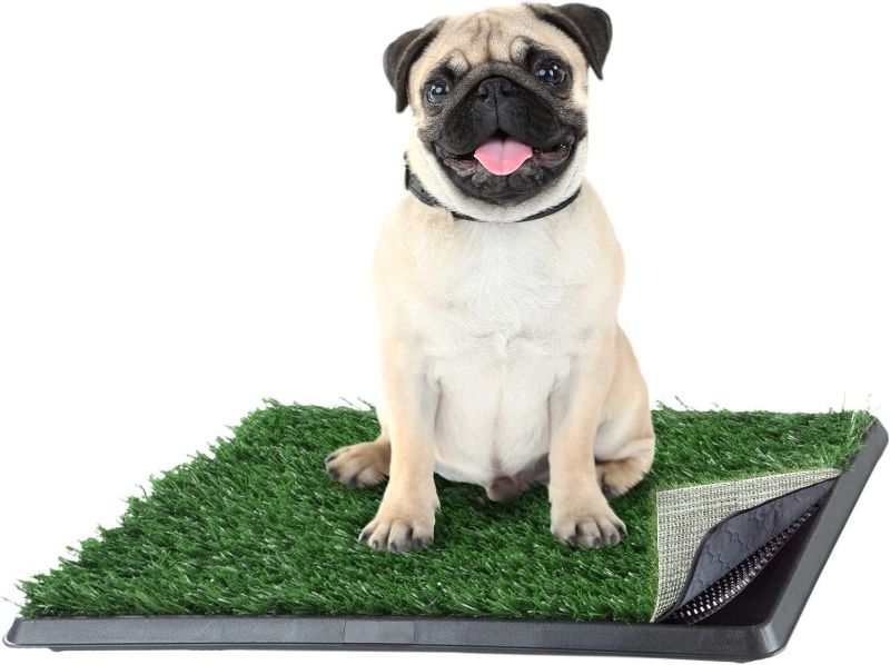 Photo 1 of Artificial Grass Puppy Pee Pad for Dogs and Small Pets - 16x20 Reusable 4-Layer Training Potty Pad with Tray - Dog Housebreaking Supplies by PETMAKER

