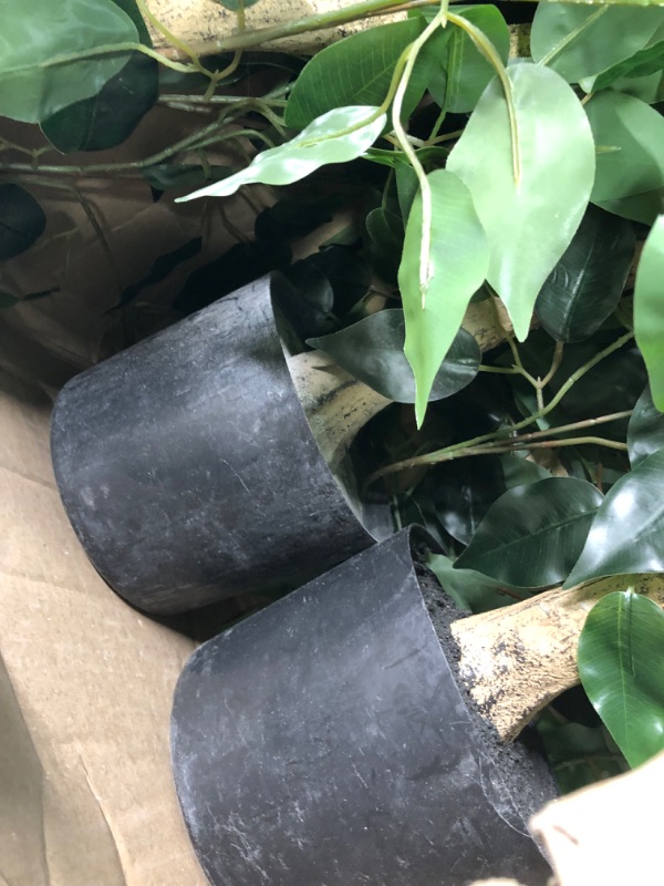 Photo 1 of 2 Pack Garden Tree Decor 36 Inch Tall 