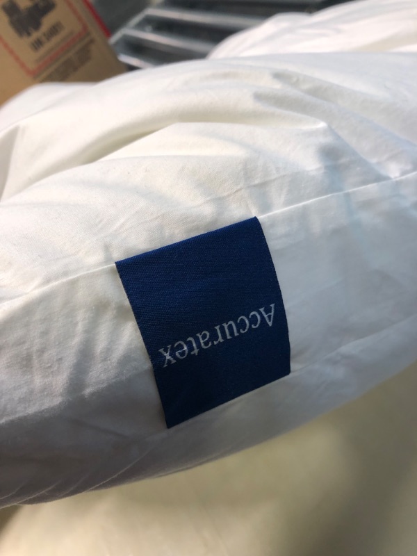 Photo 1 of accuratex pillow 2 pack luxury microfiber covered 18x24"