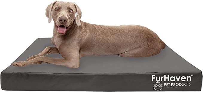 Photo 1 of Furhaven XXL Cooling Gel Foam Dog Bed Water-Resistant Indoor/Outdoor Logo Print Oxford Polycanvas Mattress w/ Removable Washable Cover - Stone Gray, Jumbo Plus (XX-Large)