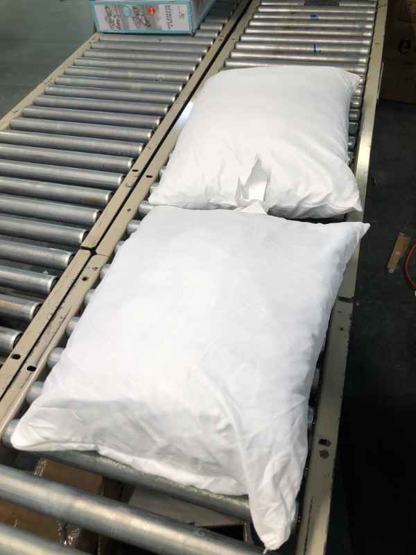 Photo 1 of 2 Standard Pillows With Removable/Washable Covers, White