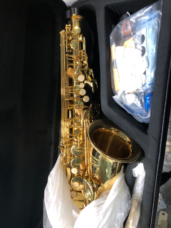 Photo 1 of Eastar Professional Alto Saxophone E Flat Alto Saxophone Eb Saxophone Gold With Cleaning Cloth, Carrying Case, Mouthpiece, Neck Strap, Reeds and Stand, Alto Saxophone Full Kit, AS-? Professional Gold