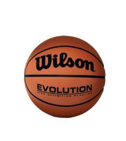 Photo 1 of Wilson Evolution Basketball, Size 7