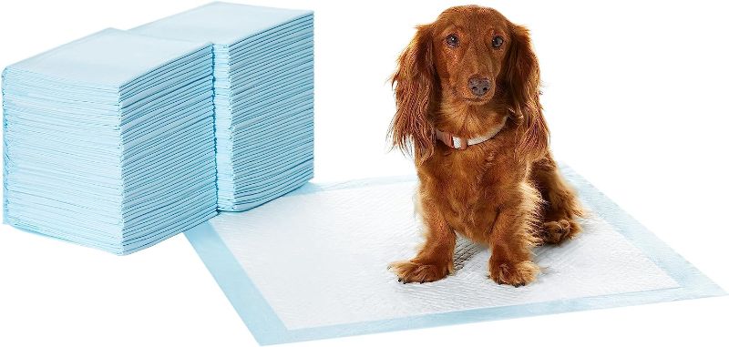 Photo 1 of Amazon Basics Dog and Puppy Pee Pads with Leak-Proof Quick-Dry Design for Potty Training, Standard Absorbency, Regular Size, 22 x 22 Inches, Pack of 100, Blue & White
