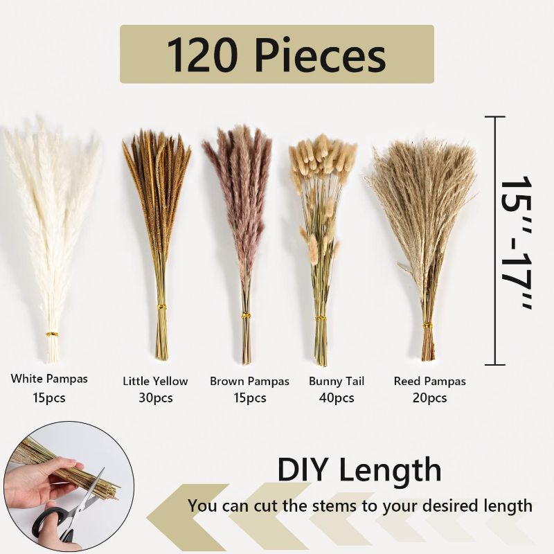 Photo 2 of 325 Pcs Dried Pampas Grass Decor Bulk 17 Inch White Pampas Reed Grass Boho Dried Flowers Natural Dried Bunny Tail Fluffy Pampas Grass Tall for Wedding Home Party Table Decor